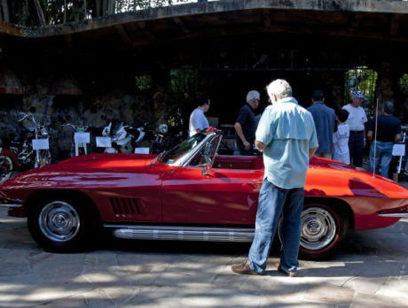 Corvette show at McKee Botanical Gardens