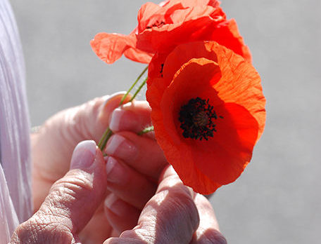 Remember the Fallen and Support the Living