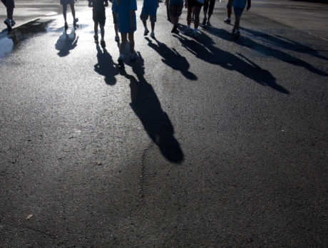 Walk to End Epilepsy