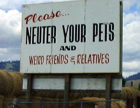 BUZZ: Neutering friends, the force, and Egypt