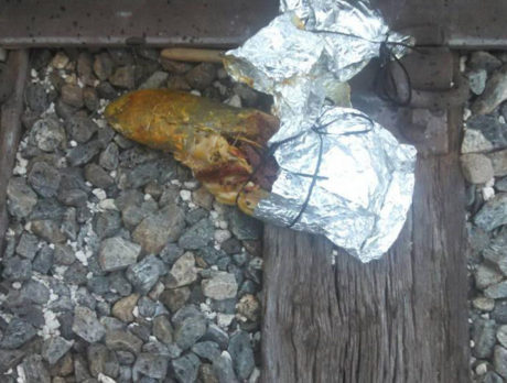 UPDATE: Nailed, pinned cow tongues found in suspicious packages