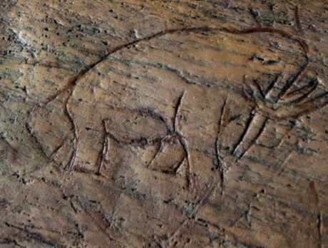 Vero Ice Age Site archeological expedition to begin in January