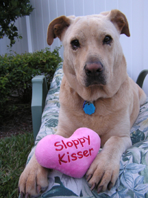 ALL PETS: What’s in a name?
