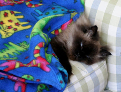 VISUAL BLOG: It’s so cold… Top Ten