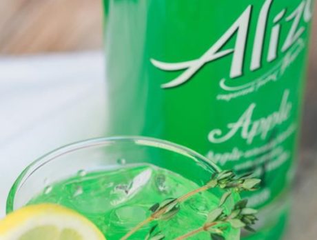 Easy, Breezy Cocktail Ideas for Summer