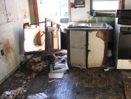 HABITAT: Changing with the times…