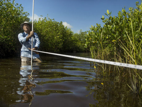 Land Trust preserves more land along lagoon