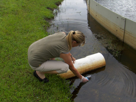 Sebastian unveils new tool to track water pollution