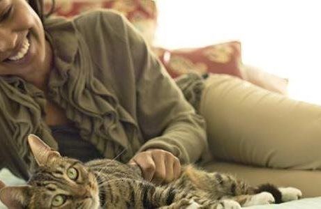 Shelter volunteers play critical role in animal welfare efforts