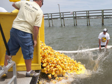 Duck Derby 2014