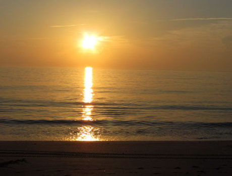 CAMERA: Sunrise almost makes it worth getting up early… almost