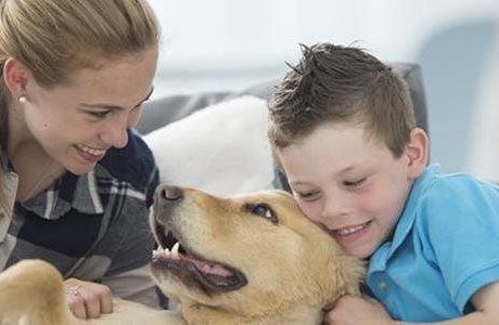 Finding Fido: Could America run out of dogs?