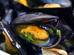 The romantic side of mussels