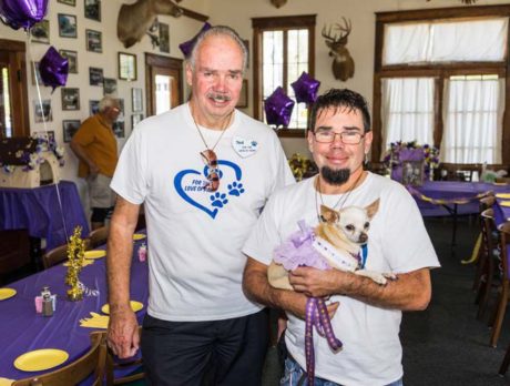 PHOTOS: Senior Pet Sanctuary ‘showers’ pooches with love