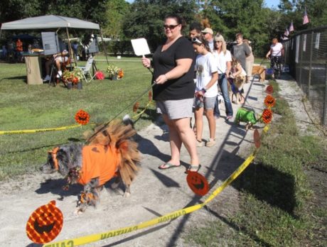 Howl-O-Ween Dog Costume Pawrade & Pet Expo