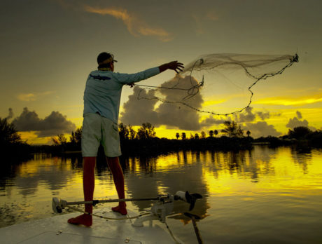 Lagoon seagrass and fishing making a comeback?