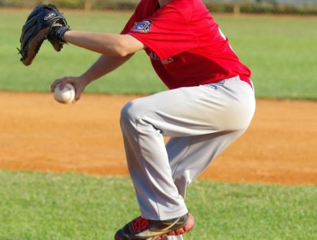 Cal Ripken/Babe Ruth league’s second season is a success