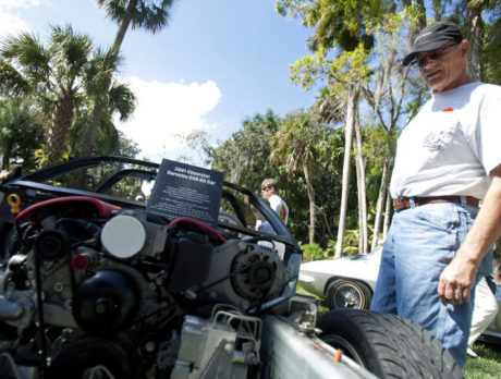 Corvette show at McKee Botanical Gardens