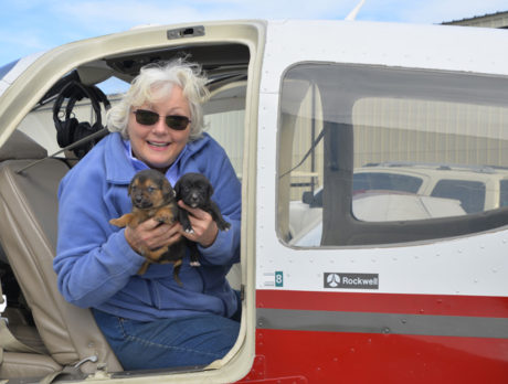 Bonz meets cool Codie, a rescue that rescues others