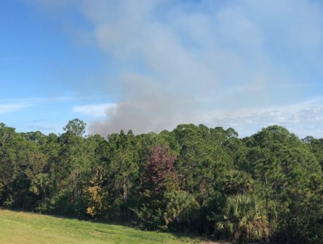 Smoke over Fellsmere from prescribed burn