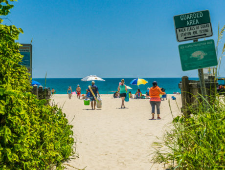 Vero beaches see increase in attendance for June
