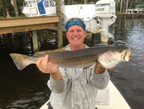 Spawning sea trout a good sign for our lagoon