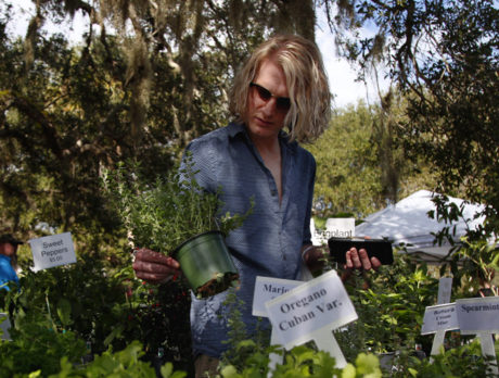 Plant-astic time had by all at glorious Gardenfest!
