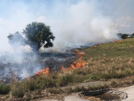 Brush fire extinguished near CVS Distribution Center