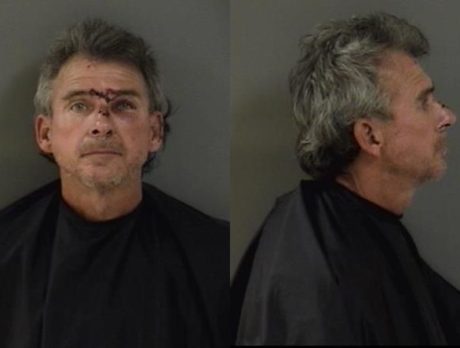 Deputies: Driver strikes tree after fleeing from crash