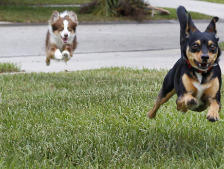 Bonz says Mia and Charlie have a nose for adventure