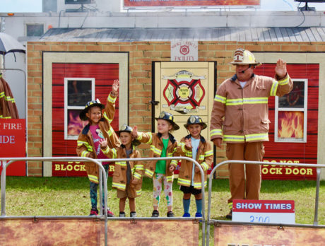 50,000 find Firefighters Fair fine – and swine – and dandy