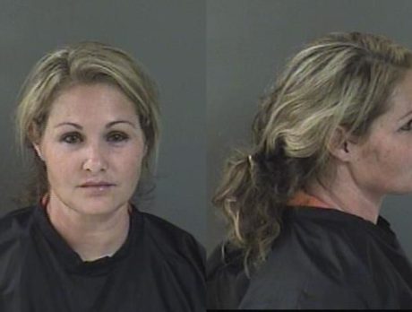 Deputies: Mom unconscious in vehicle with 3 kids in back
