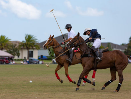 Pony tale: Polo proceeds help New Horizons’ mission