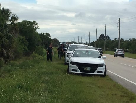 Suspected jewelry thief leads deputies on 2-hour search in woods