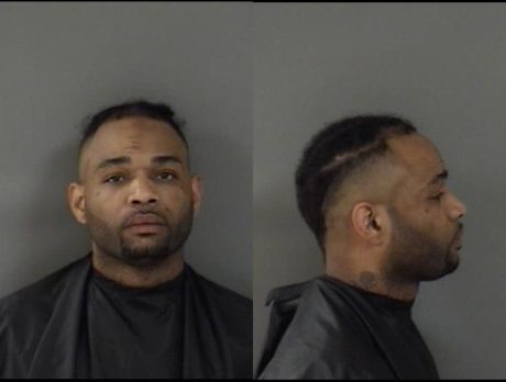 Cocaine seized in drug bust