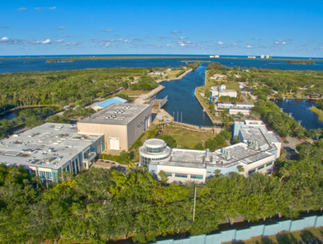 FAU insider: Red ink led to grab for Harbor Branch funds