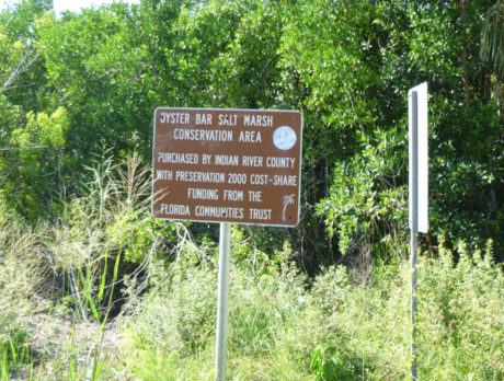 Public access expanding at Oyster Bar Conservation Area