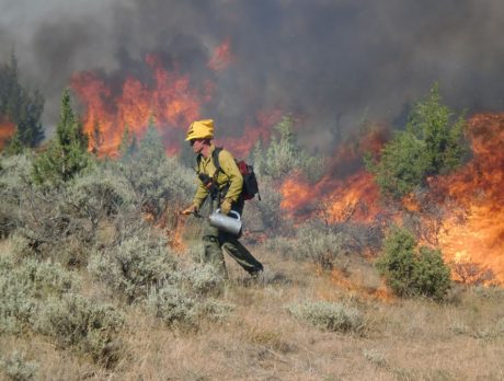 Residents might smell smoke from 1,400-acre prescribed burn at state park