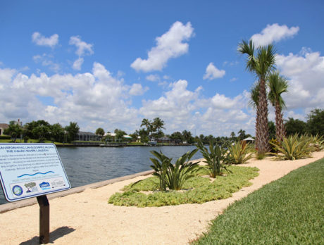 Anti-pollution experiment underway in Young Park