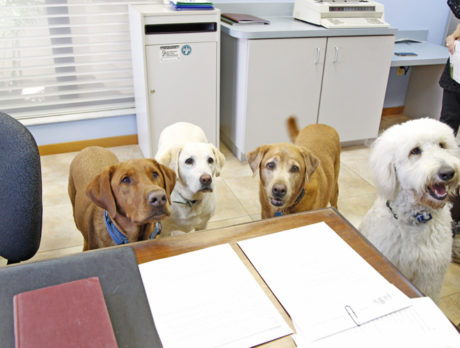 Holy moly, did Bonz ever fit in with this gang!