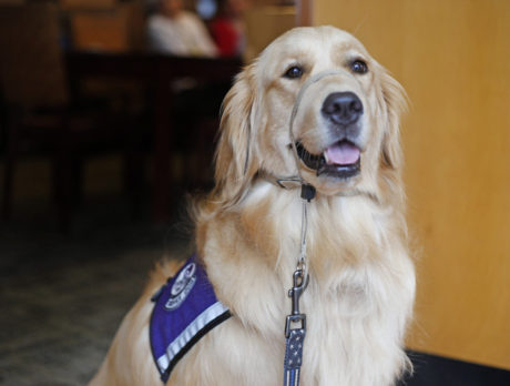 Bonz holds this golden Good Girl in high esteem