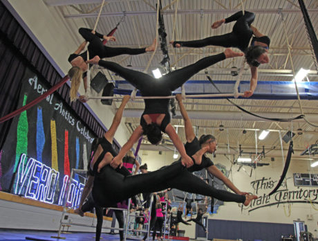 Up, up and hooray at Aerial Antics’ Centennial Circus