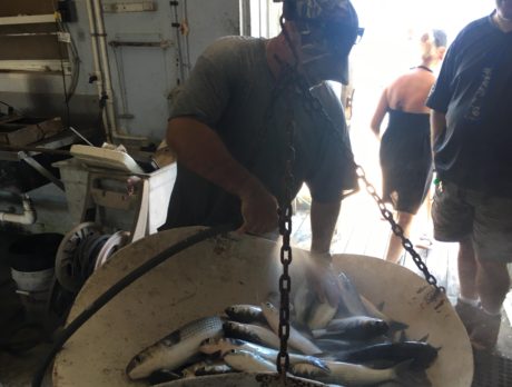 Family fish market spanning 3 generations to close Monday