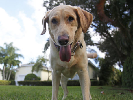 Bonzo says ‘my oh my-a!’ after meeting cutie Kaia