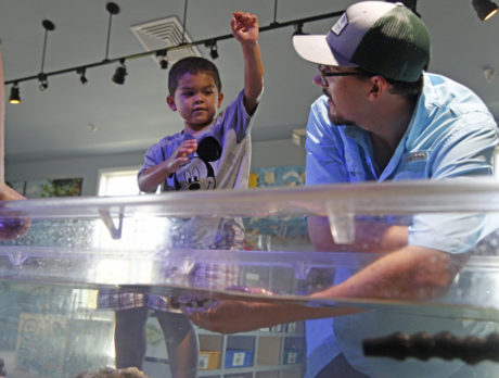 ‘Wet’ appetites at ELC’s Splish, Splash Lagoon Bash