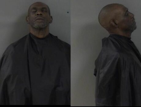 ‘The dog is dead,’ – Dog in advanced stages of decomposition; man charged