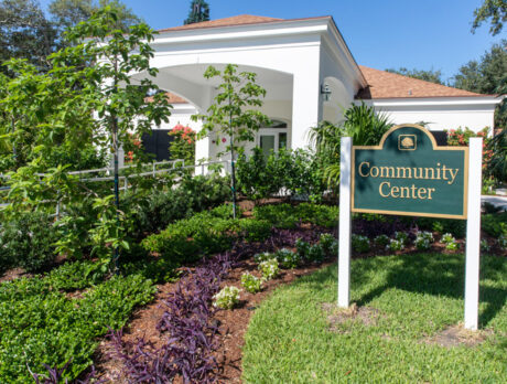 Shores voters to consider charter amendments