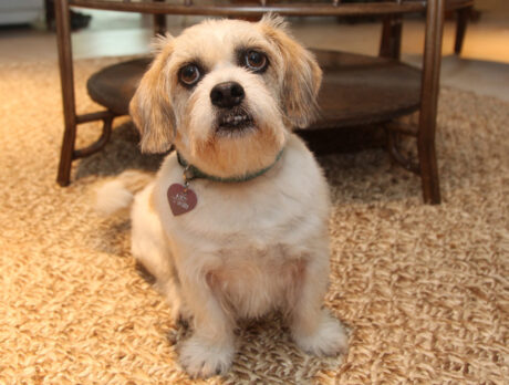 Bonz says Sandy’s story is one of surviving, thriving