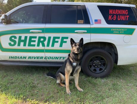 Man punches K-9 dog after breaking into woman’s garage