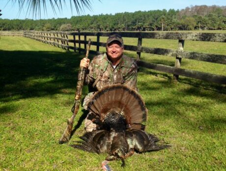 Talking (wild) turkey at Thanksgiving